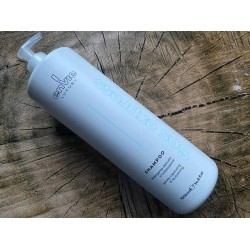 Aмiнoкислoтний шампунь Envie Luxury Sos Express Shampoo для миттєвого відновлення волосся (EN461) 200 г в розливі