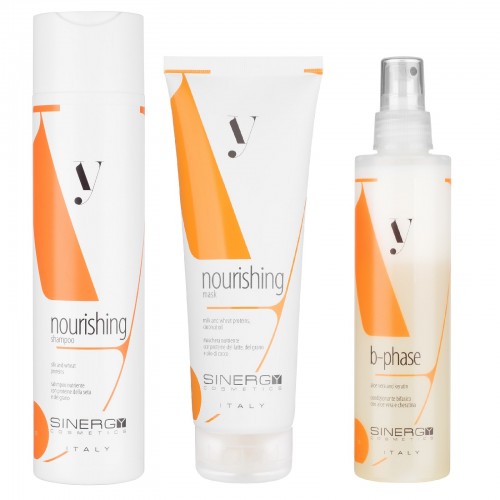 Набір Sinergy Y1 для реконструкції сухого пошкодженого волосся, 250/250/200 мл