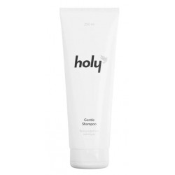Безсульфатний шампунь  holy gentle shampoo, 250 мл