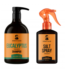 Набір шампунь та спрей Daily Styling Set Barber Blend щоденний догляд та стайлінг волосся, 500/120 мл