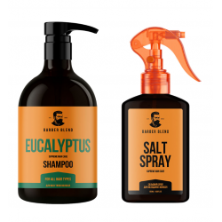 Набір шампунь та спрей Daily Styling Set Barber Blend щоденний догляд та стайлінг волосся, 500/120 мл