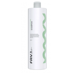Амінокислотний шампунь FAV.1 112 RESTORE Shampoo для миттєвого відновлення волосся, 1000 мл
