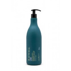 Шампунь Raywell B.io LISS Smoothing Shampoo With Ribes Complex для розгладження пухнастого волосся (RR651), 1000 мл